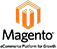 Magento Web Development 