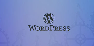 Wordpress Development